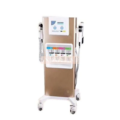 6 IN 1 Facial  Oxy Bubble Face Equipment Snowland Brand