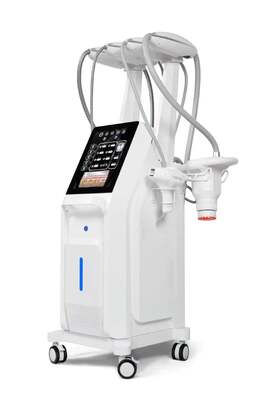 4 in 1 Lpg-lipo Endermology Machine Cellulite Stomach Thighs Cellulite Reduction Treatment Rf Roller Massage Face Lift