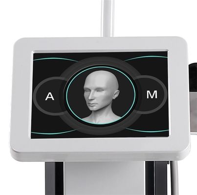 3 In 1 Anti Wrinkle Standing type Fractional RF Microneedle with acne pen and cooling hammer