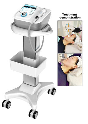 New D cool Portable Cool + Hot + Ems For Skin Tightening Anti Puffiness Facial Electroporation Machine Beauty Device